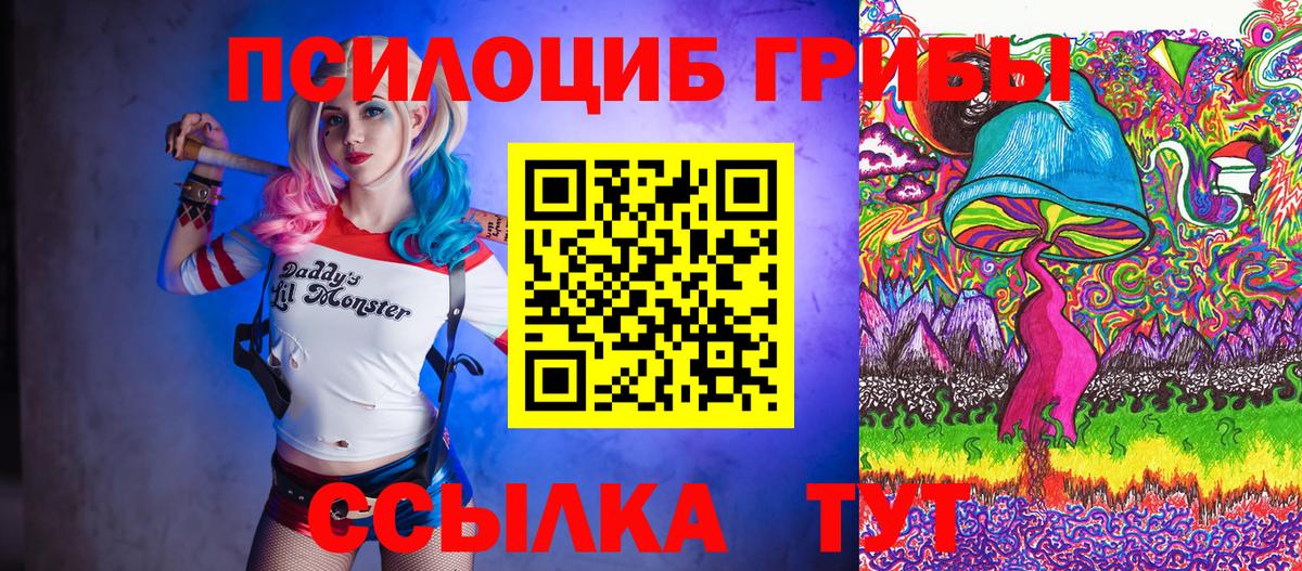 Урюпинск  Псилоцибиновые грибы мицелий  Псилоцибиновые грибы мицелий  Вход с VPN 