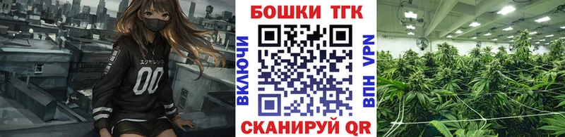 Шишки марихуана марихуана  Урюпинск 